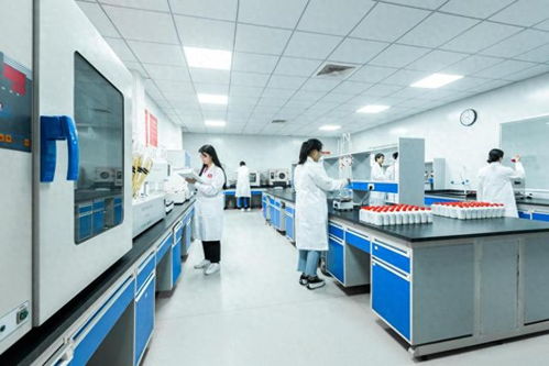 不看不知道，原來白酒和健康的關系這么奇妙——數字技術服務賦能新認知